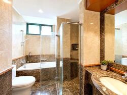 Signature Park (D21), Condominium #583994561